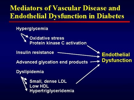 Diabetes Vascular Damage Mechanism