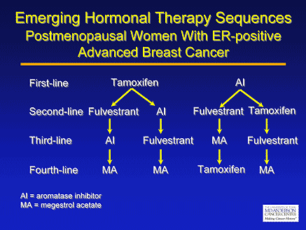 The Role of Anti-Aromatase Agents in New Treatment Strategies for