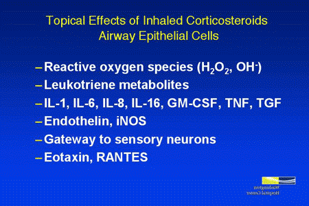 The Suspension Is Over: New Solutions for the Treatment of Asthma