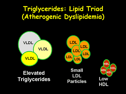 Triglycerides: Lipid Triad (Atherogenic Dyslipidemia)