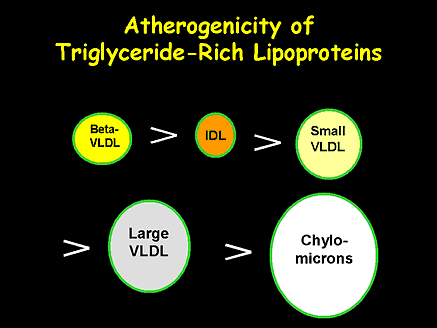 Atherogenicity of Triglyceride-Rich Lipoproteins