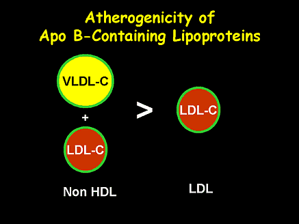 Atherogenicity of Apo B-Containing Lipoproteins