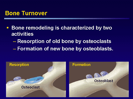 Bone Turnover