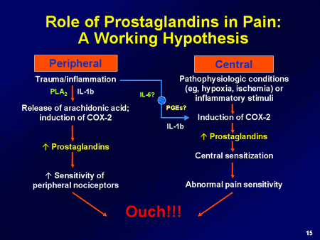 Innovative Perioperative Management in Orthopaedic Surgery ... diagram of nsaids 