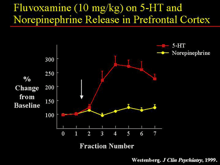 Fluvoxamine (10 mg/kg) on 5-HT and Norepinephrine Release in Prefrontal Cortex