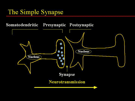 The Simple Synapse