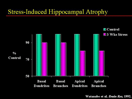 Stress-Induced Hippocampal Atrophy