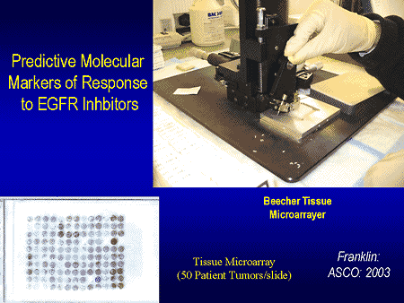 Targeting Critical Pathways in Oncology