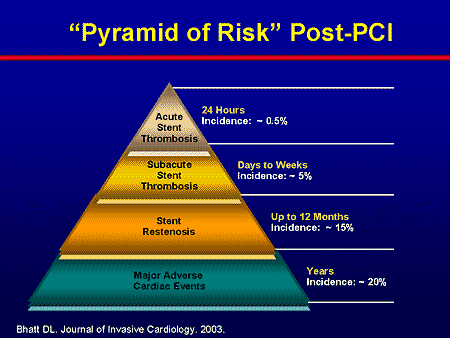 Challenges in the Long-term Management of Patients Post Stent ...