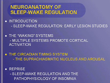 Insomnia and Beyond: The Neurochemical Basis for Targeted Sleep ...