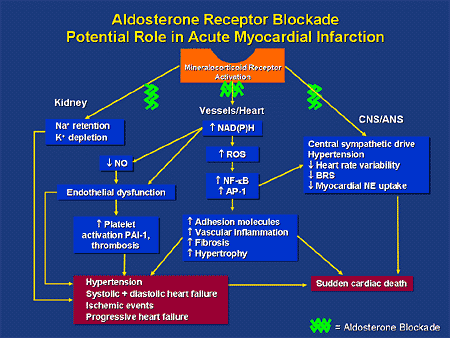 The Evolution of Heart Failure Management: The Role of Aldosterone