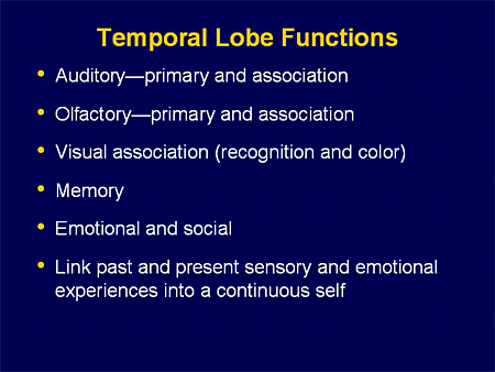 Seizure Activity Left Temporal Lobe