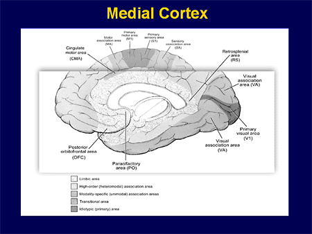 Temporal Lobe Epilepsy: The Current State of Knowledge