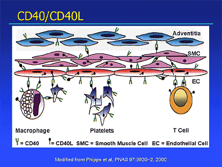 Therapeutic Challenges in the Treatment of Cardiovascular Diseases ...