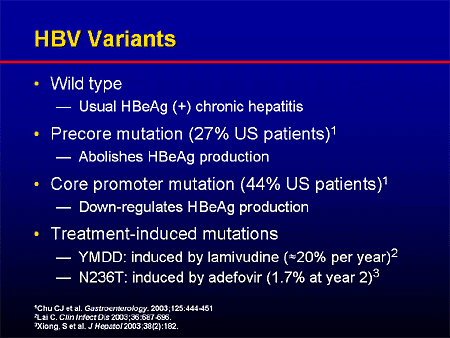 Increasing Efficacy in Chronic Hepatitis B: Evidence-Based Strategies