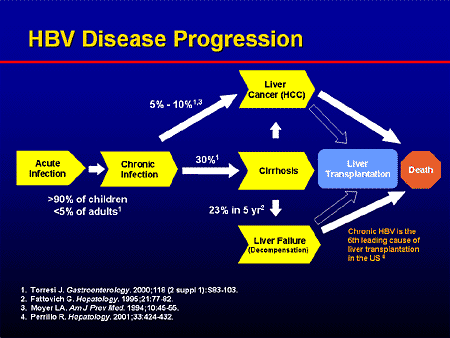 Increasing Efficacy In Chronic Hepatitis B: Evidence-Based Strategies