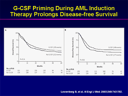 Evolving Therapeutic Options for Acute Myeloid Leukemia