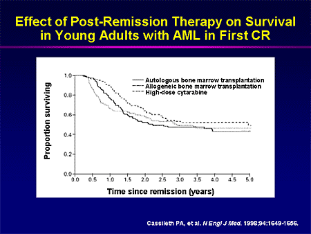 Evolving Therapeutic Options for Acute Myeloid Leukemia