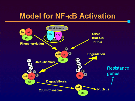 Picture of From Targets to Therapy: Novel Drugs in Advanced Clinical Trials