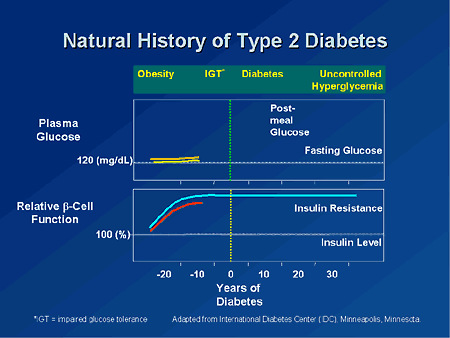 Getting to Goal in Type 2 Diabetes: Role of Postprandial Glycemic Control