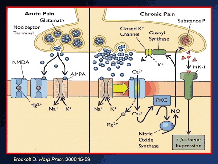 Effective Opioid Therapies Across The Spectrum Of Chronic Pain