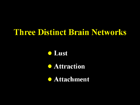 Slide 5.
