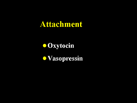Slide 12.