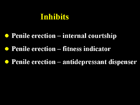 Slide 24.