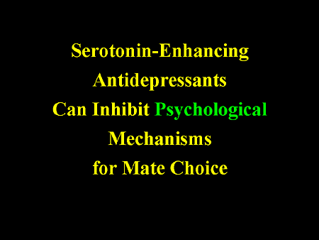 Slide 26.
