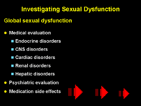 Sex Sexuality And Serotonin