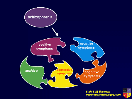schizophrenia cognitive symptoms