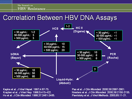 Highlights From The Summit On HBV Resistance