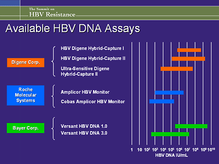 Highlights From The Summit On HBV Resistance