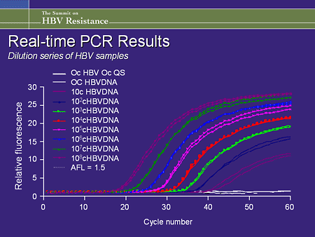 pcr results hbv slide summit