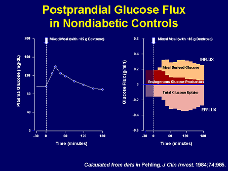 Changing the Course of Disease: Gastrointestinal Hormones and Tomorrow ...