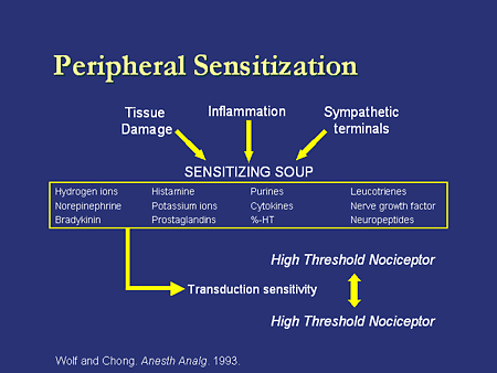 Peripheral Sensitization