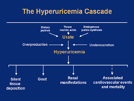 Hyperuricemia and Gout