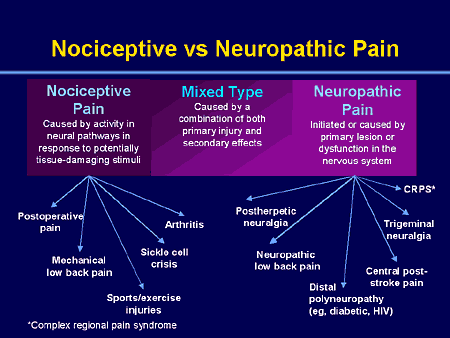 Neuropathic Pain: New Strategies to Improve Clinical Outcome spinal tap diagram 