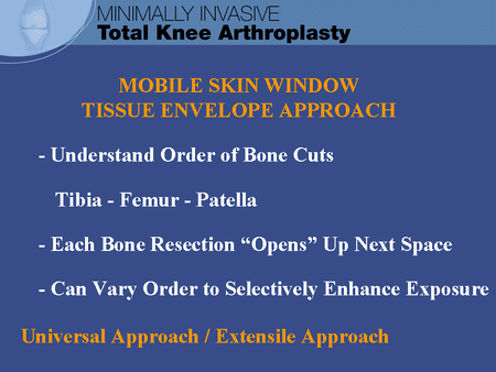 Mobile Skin Window: Tissue Envelope Approach