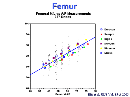 Femur. Femoral M/L vs A/P Measurements: 337 Knees