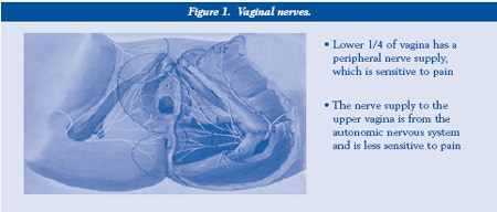 Vaginal nerves.