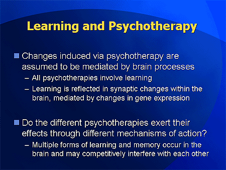 Taming the Anxious Mind: How Psychotherapy and Medications Transform ...