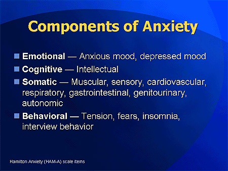 Taming the Anxious Mind: How Psychotherapy and Medications Transform ...