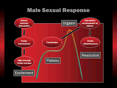 Evolving Diagnosis and Management of Ejaculatory Disorders: A Focus on