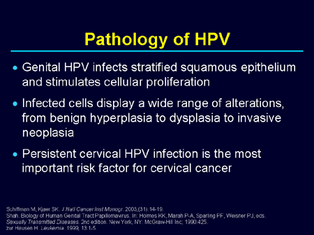 hpv education presentation powerpoint