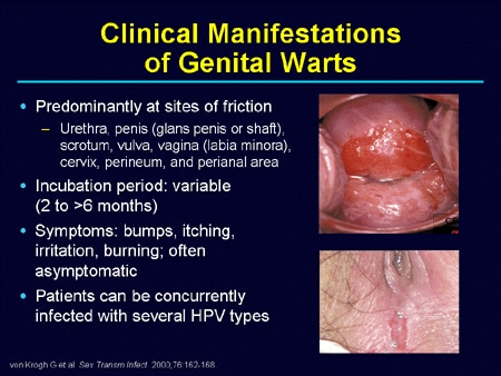 Hpv genital lesions