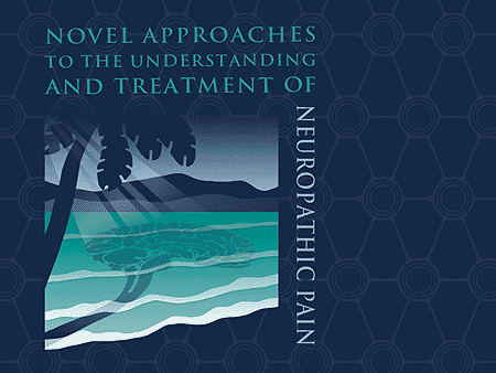Novel Approaches to the Understanding and Treatment of Neuropathic Pain