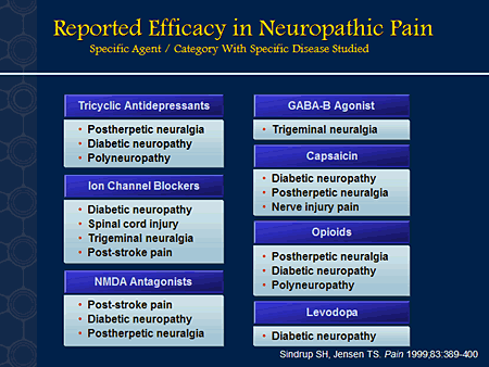 Novel Approaches to the Understanding and Treatment of Neuropathic Pain