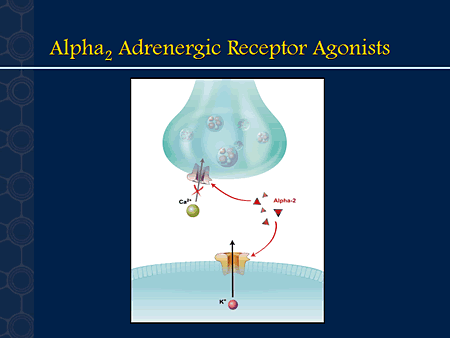 Novel Approaches to the Understanding and Treatment of Neuropathic Pain