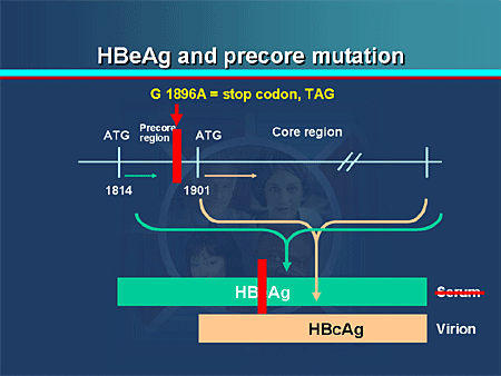 Chronic Hepatitis B: Refining Management Approaches And Addressing The ...